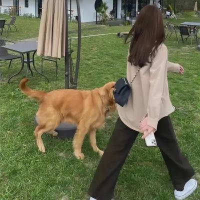 复仇美眉